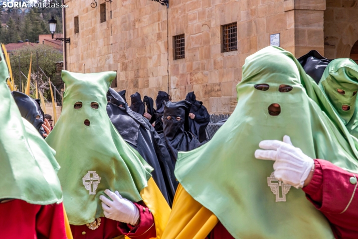 Domingo de Ramos 2026./ Viksar Fotografía