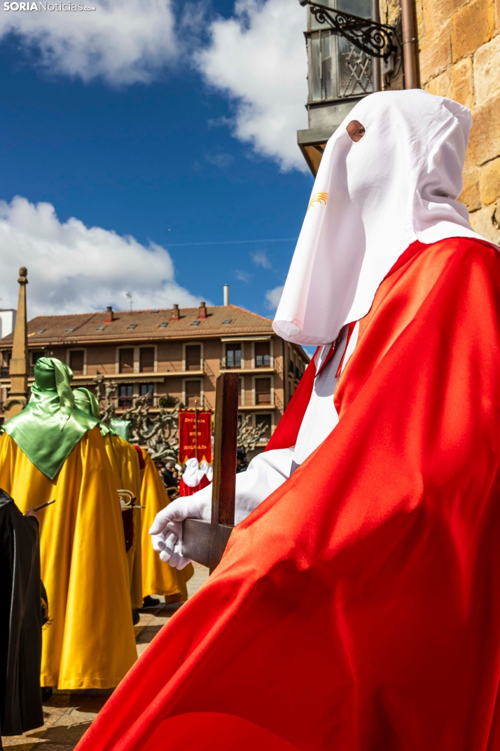 Domingo de Ramos 2026./ Viksar Fotografía