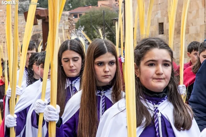 Domingo de Ramos 2026./ Viksar Fotografía