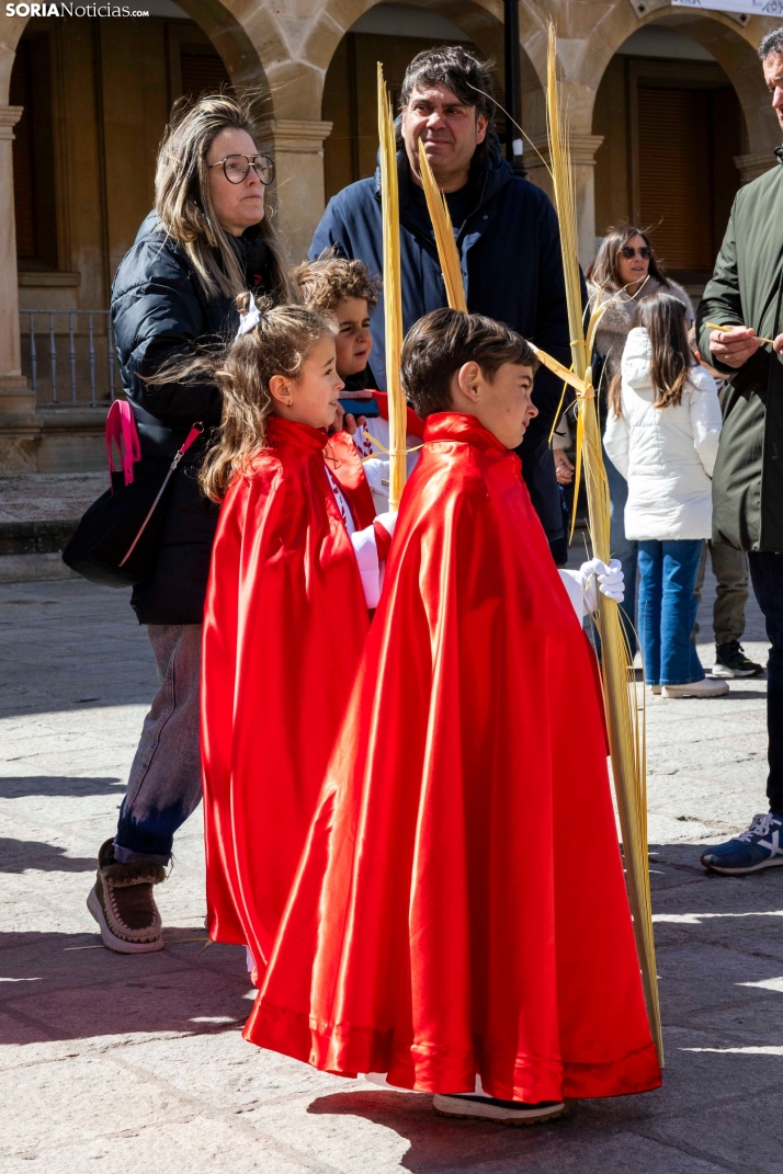 Domingo de Ramos 2026./ Viksar Fotografía