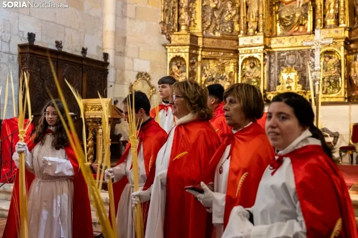 Domingo de Ramos 2026./ Viksar Fotografía