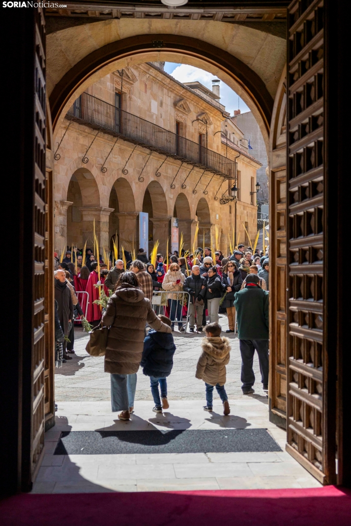 Domingo de Ramos 2026./ Viksar Fotografía
