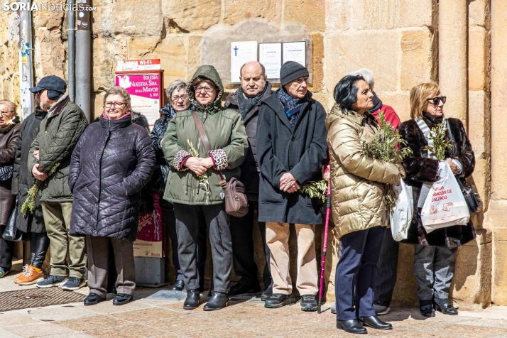 Domingo de Ramos 2026./ Viksar Fotografía