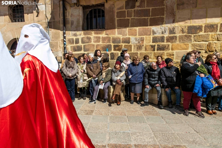 Domingo de Ramos 2026./ Viksar Fotografía