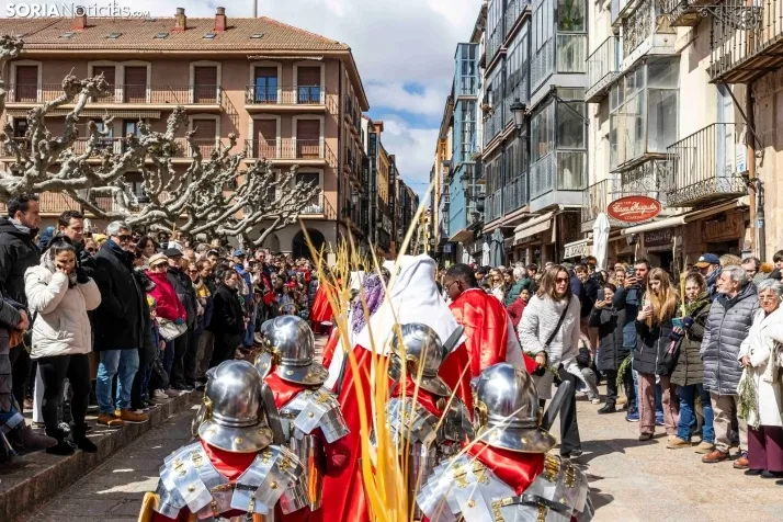Domingo de Ramos 2026./ Viksar Fotografía