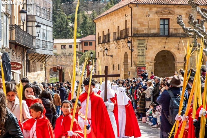 Domingo de Ramos 2026./ Viksar Fotografía