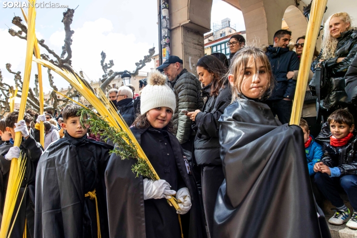 Domingo de Ramos 2026./ Viksar Fotografía