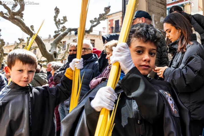 Domingo de Ramos 2026./ Viksar Fotografía