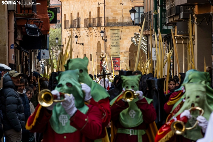 Domingo de Ramos 2026./ Viksar Fotografía