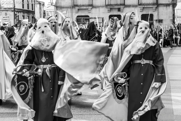 Domingo de Ramos 2026./ Viksar Fotografía