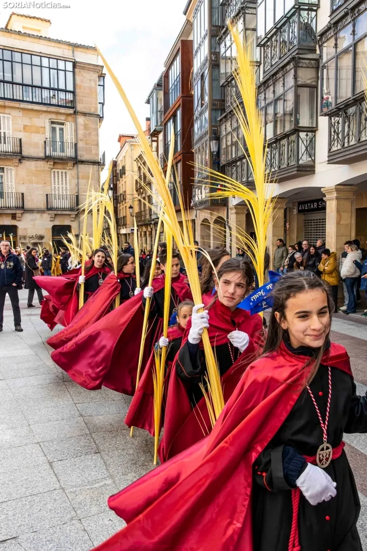 Domingo de Ramos 2026./ Viksar Fotografía