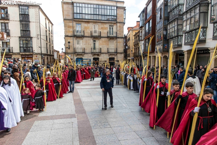 Domingo de Ramos 2026./ Viksar Fotografía