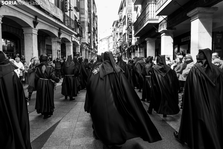 Domingo de Ramos 2026./ Viksar Fotografía