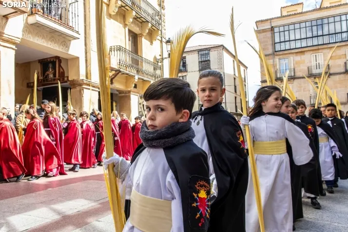 Domingo de Ramos 2026./ Viksar Fotografía