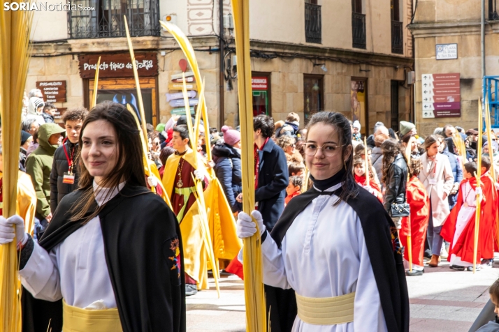 Domingo de Ramos 2026./ Viksar Fotografía