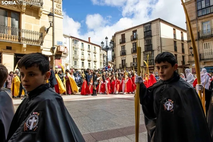 Domingo de Ramos 2026./ Viksar Fotografía