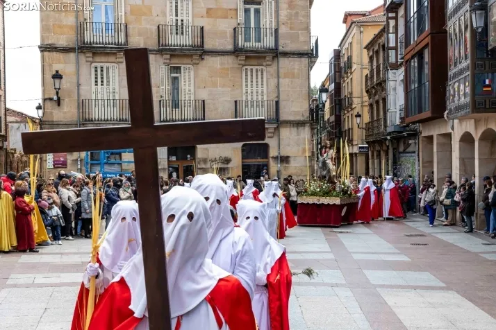 Domingo de Ramos 2026./ Viksar Fotografía