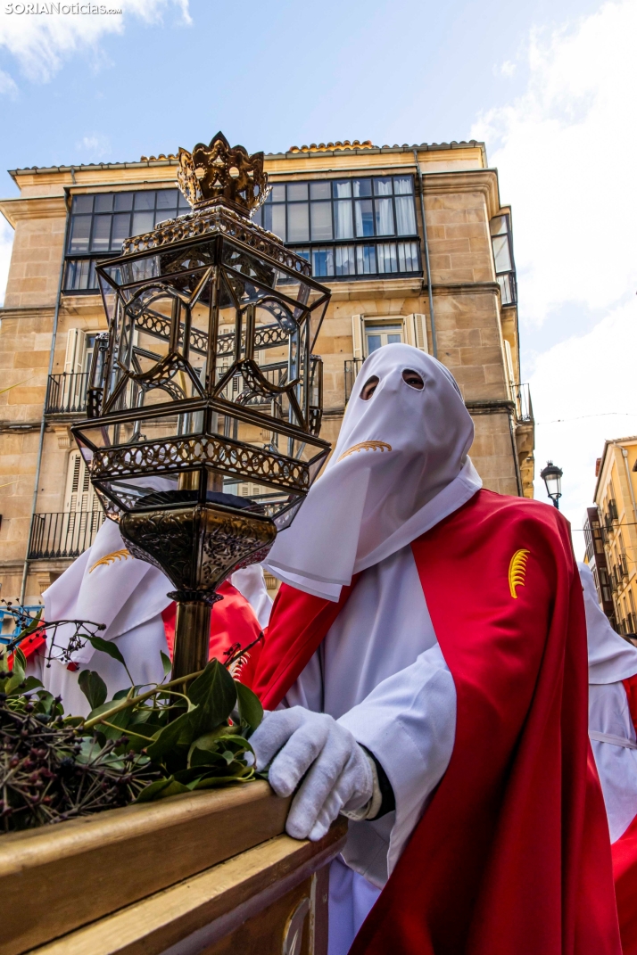 Domingo de Ramos 2026./ Viksar Fotografía