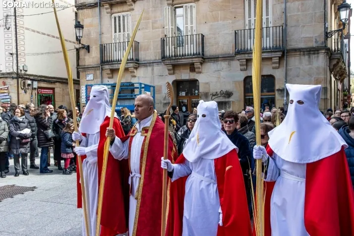 Domingo de Ramos 2026./ Viksar Fotografía