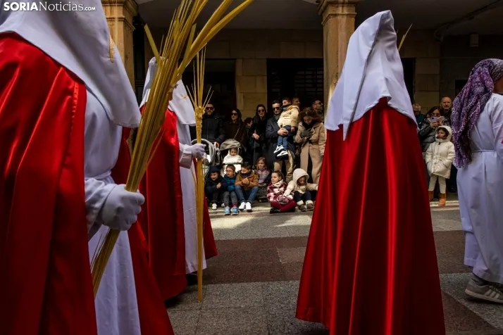 Domingo de Ramos 2026./ Viksar Fotografía