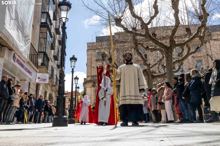 Domingo de Ramos 2026./ Viksar Fotografía
