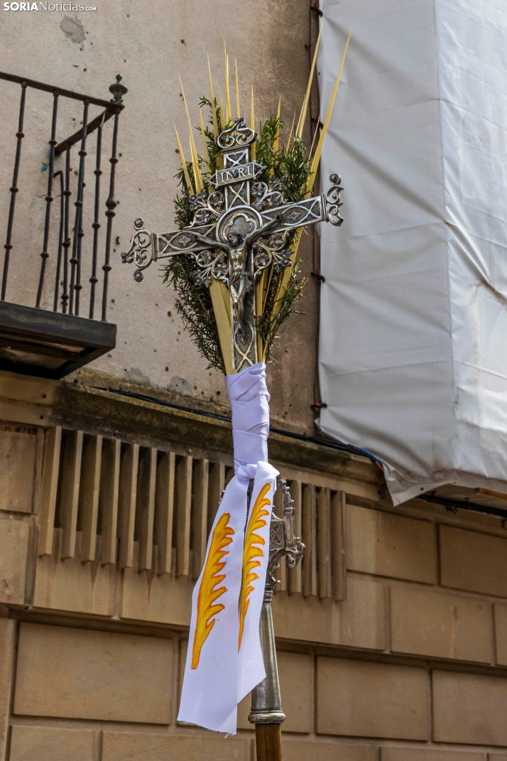 Domingo de Ramos 2026./ Viksar Fotografía