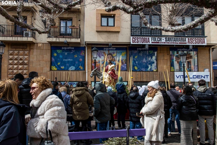 Domingo de Ramos 2026./ Viksar Fotografía