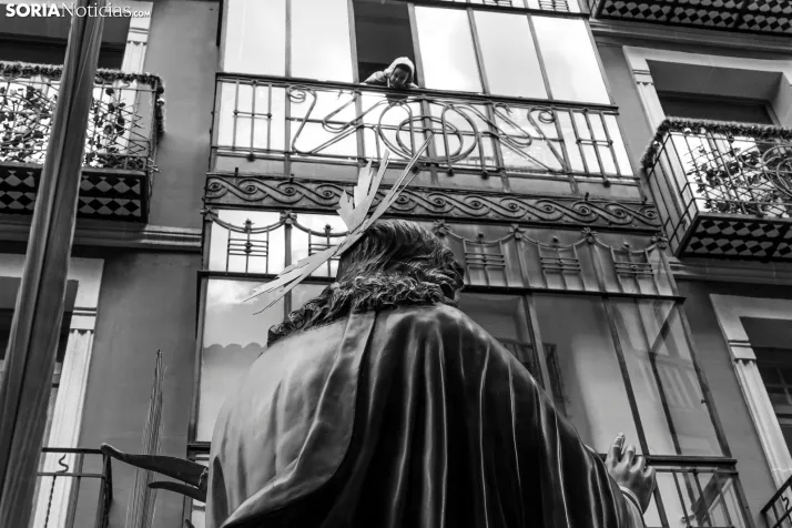 Domingo de Ramos 2026./ Viksar Fotografía