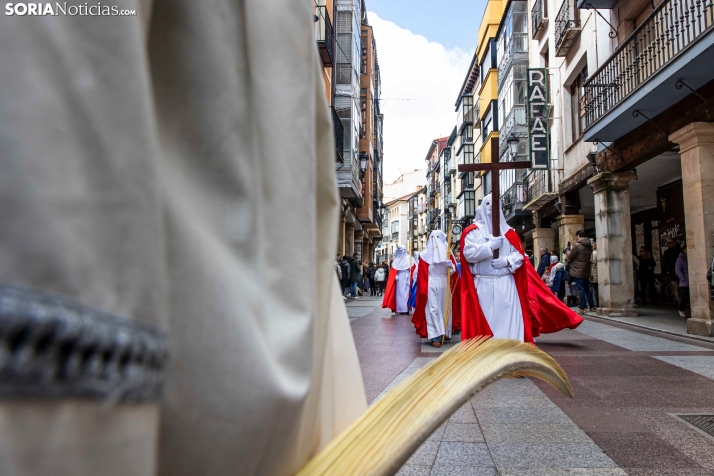 Domingo de Ramos 2026./ Viksar Fotografía