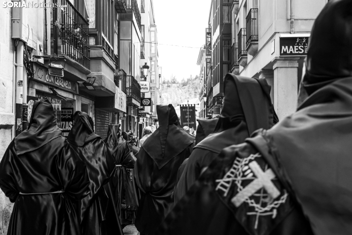 Domingo de Ramos 2026./ Viksar Fotografía