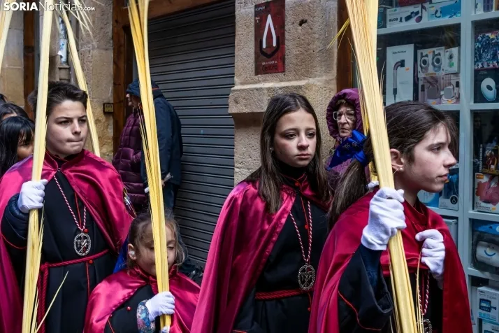 Domingo de Ramos 2026./ Viksar Fotografía