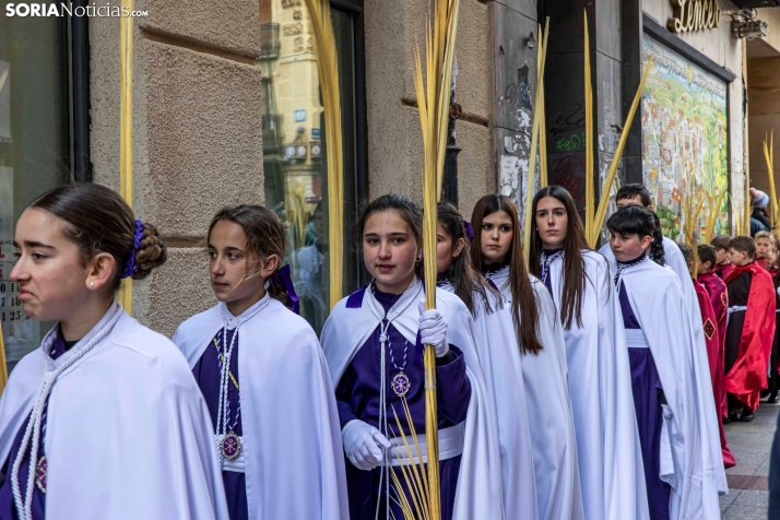 Domingo de Ramos 2026./ Viksar Fotografía