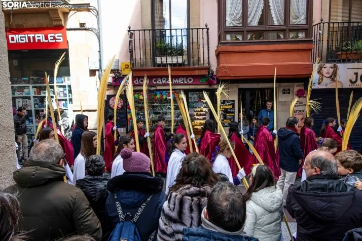 Domingo de Ramos 2026./ Viksar Fotografía