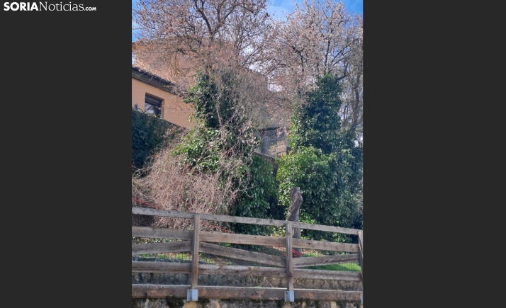 El viento lleva a desviar el tráfico para acceder al parque del Castillo
