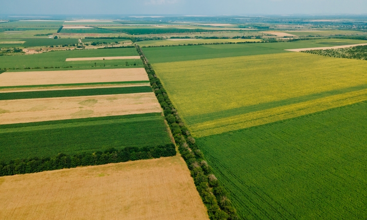 Luz verde a la concentración parcelaria privada de Las Fraguas II en Golmayo