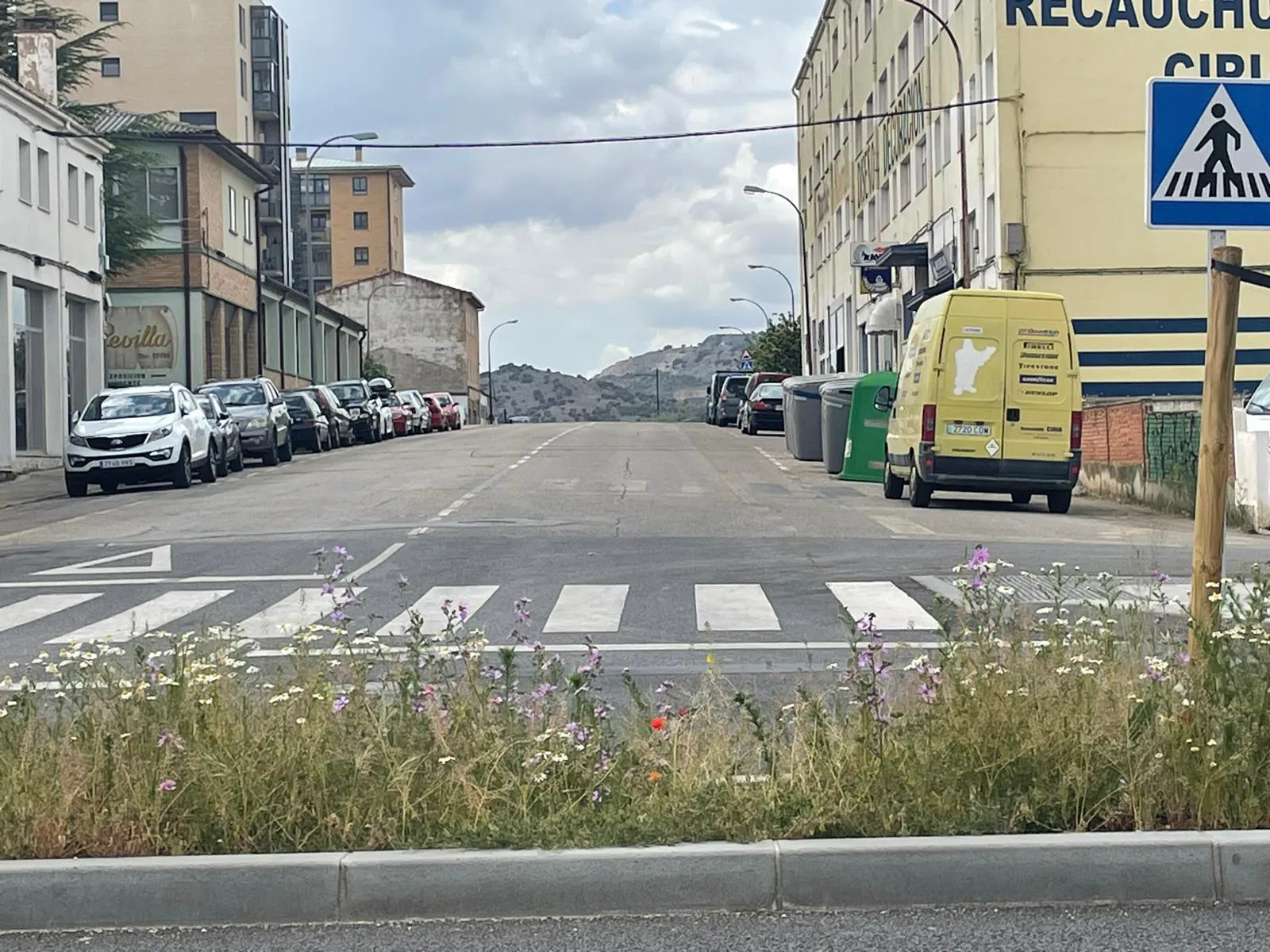 Foto 2 - Soria estrena zonas verdes: cuando el jard&iacute;n se independiza del jardinero
