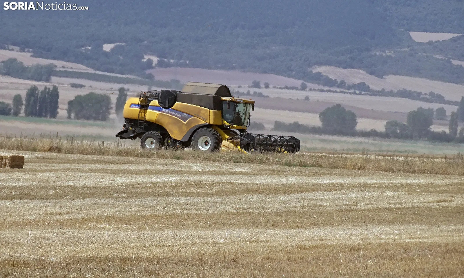 Los jóvenes agricultores de Castilla y León recibirán un 25 % más de subvención al suscribir sus seguros agrarios