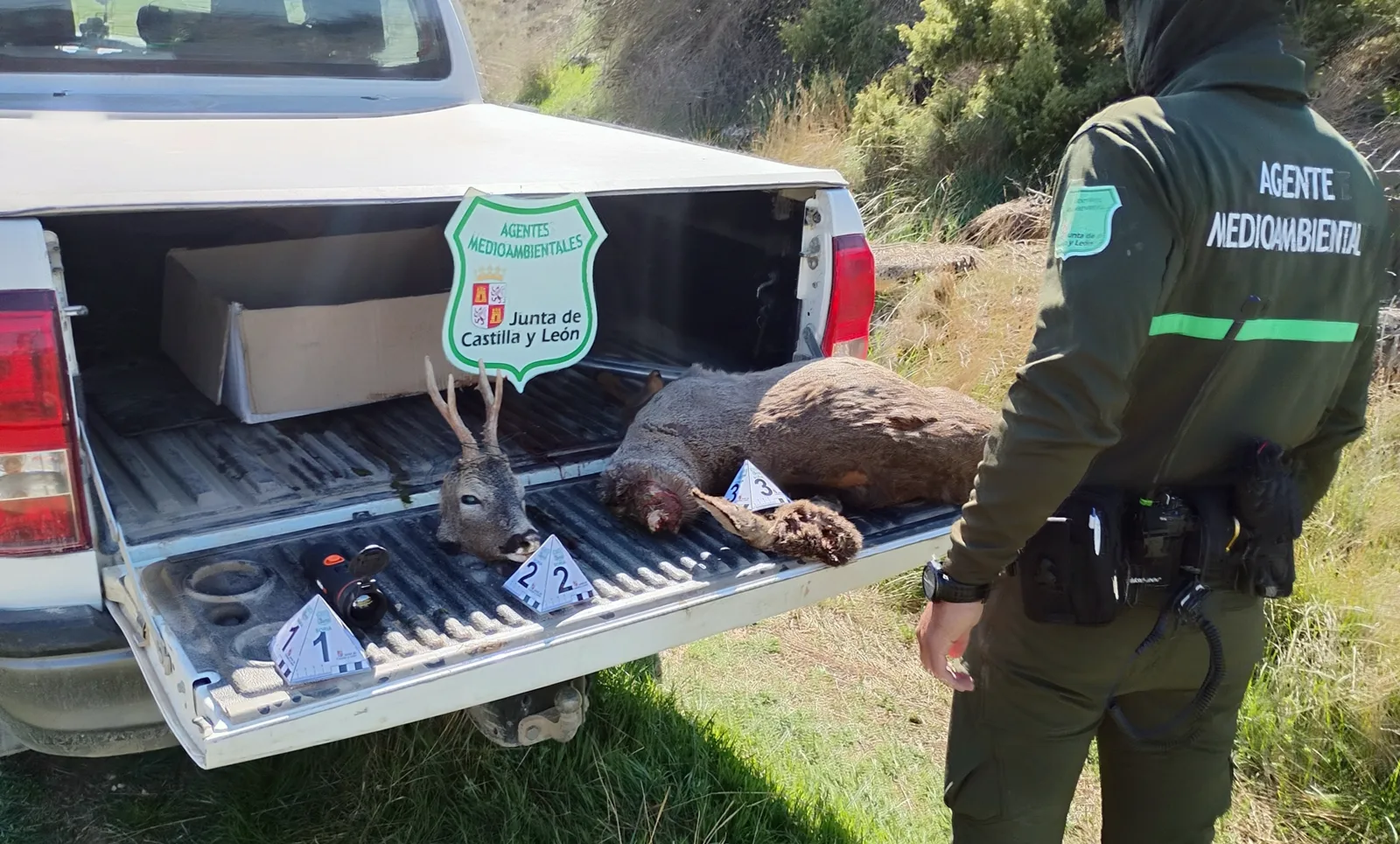 Sorprendido tres veces en una semana cuando abat&iacute;a animales con visores t&eacute;rmicos