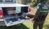 Decomiso llevado a cabo hace unos días por los agentes medioambientales de la Junta. /Jta.