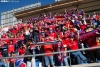 Foto 1 - La afici&oacute;n del Numancia vuelve a creer y Frente Rojillo organiza un viaje a S&aacute;mano