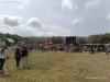 Festividad de San Marcos en Ólvega