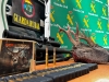 Foto 2 - La Guardia Civil desmantela una banda dedicada a la caza furtiva