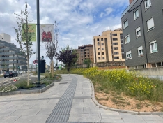 Foto 3 - Soria estrena zonas verdes: cuando el jard&iacute;n se independiza del jardinero
