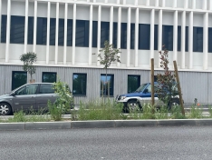 Foto 6 - Soria estrena zonas verdes: cuando el jard&iacute;n se independiza del jardinero