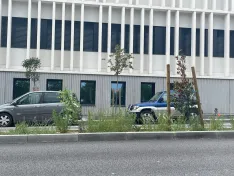 Foto 6 - Soria estrena zonas verdes: cuando el jard&iacute;n se independiza del jardinero