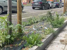 Foto 8 - Soria estrena zonas verdes: cuando el jard&iacute;n se independiza del jardinero