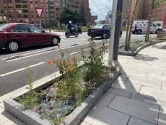 Foto 12 - Soria estrena zonas verdes: cuando el jard&iacute;n se independiza del jardinero