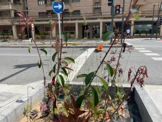 Foto 13 - Soria estrena zonas verdes: cuando el jard&iacute;n se independiza del jardinero