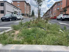 Foto 14 - Soria estrena zonas verdes: cuando el jard&iacute;n se independiza del jardinero