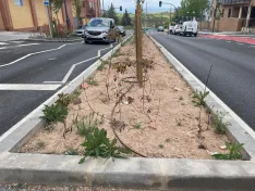 Foto 15 - Soria estrena zonas verdes: cuando el jard&iacute;n se independiza del jardinero